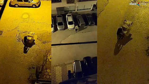 Önce çaldı, sonra el arabasıyla götürdü