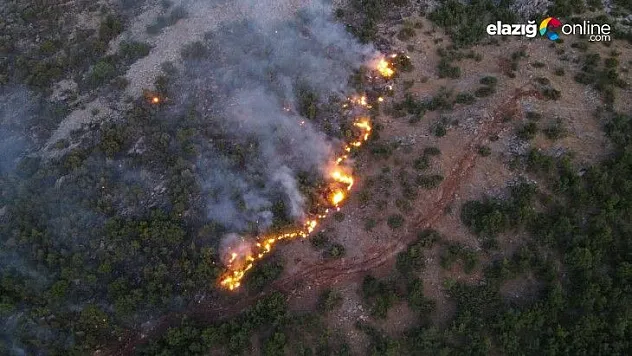 4 gündür sönmeyen yangın!