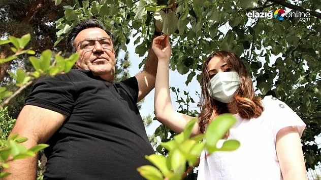 Ormancı babadan örnek uygulama