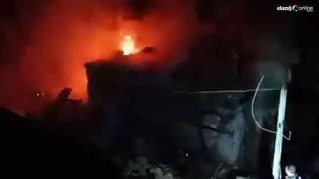 Ormanlık alanda çıkan yangın eve sıçradı