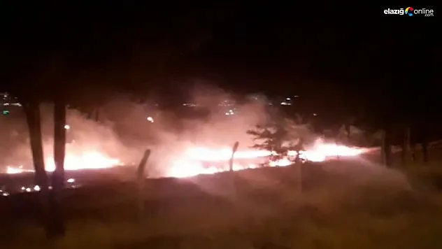 Otluk alanda çıkan yangın paniğe neden oldu