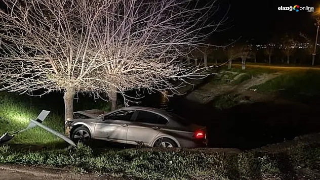 Otomobil ağaca çarptı: 1 yaralı