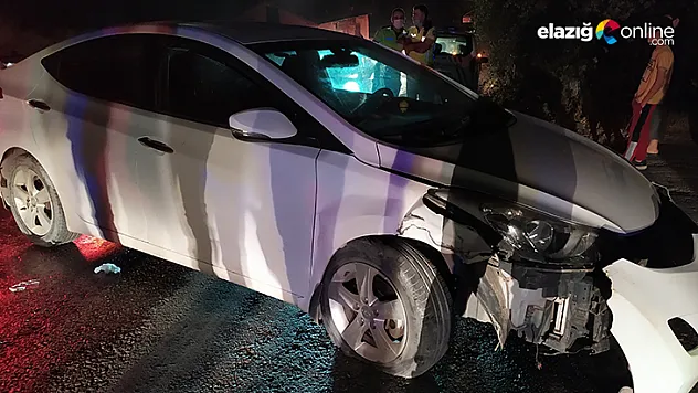 Otomobile aydınlatma direğine çarptı, 4 kişi hafif yaralandı