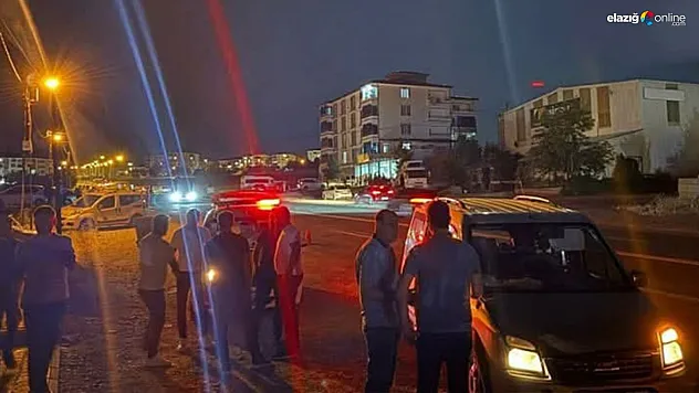 Palu'da Trafik Kazası: Yolun Karşısına Geçmeye Çalışırken Canından Oldu!