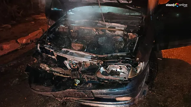 Ulukent'te park halindeki otomobil alevlere teslim oldu: Araç küle döndü