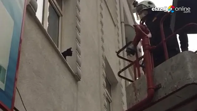 Pencere önünde mahsur kalan kediyi itfaiye kurtardı