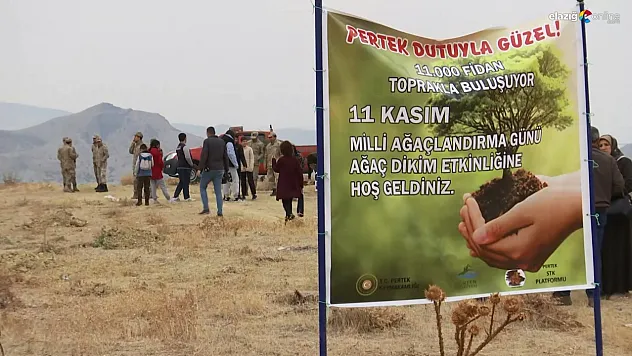 'Pertek Dutuyla Güzel' Projesi Başladı! Pertek'te 11 Bin Dut Fidanı Dikiliyor!