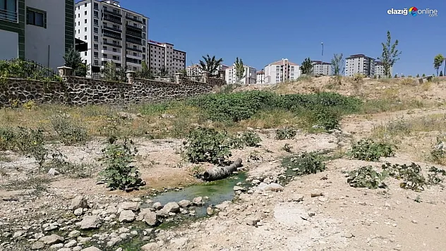 Pis koku vatandaşları evlerine hapsetti!