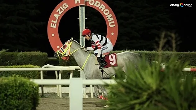 Prof. Dr. Mustafa Temizer Koşusu'nu 'Hasan In My Heart' kazandı