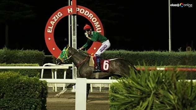 Özel koşuyu kazanan Göbeklitepe Ağası oldu