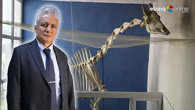 Prof. Dr. Sadık Yılmaz: Türkiye'de bir tek bizde var