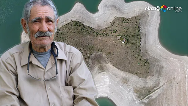 Robinson Ziya Dede'nin Adası Yeşile Büründü