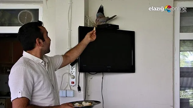 'Artık bizim ailenin bir parçası olmuş'