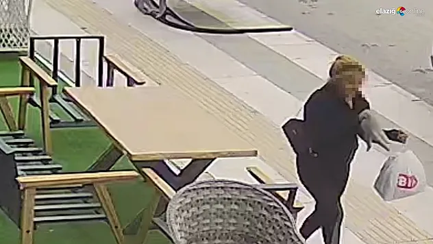 Kediyi sevdikten sonra kucağına alıp ortadan kayboldu