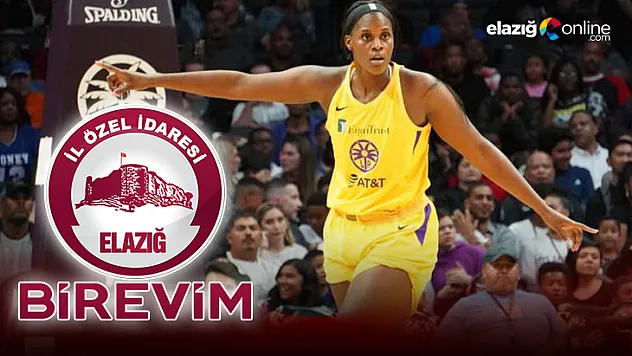 Sakat Denilen Kalani Brown, Kayseri'ye Transfer Oldu