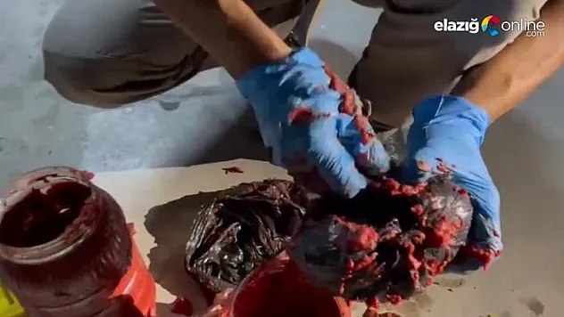 Salca bidonu içinde uyuşturucu sevkiyatı 'Nina'dan kaçmadı: 2 gözaltı