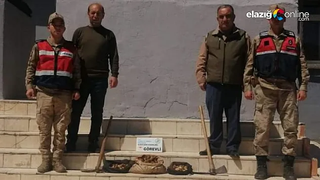 Elazığ'da salep soğanı toplayan 8 kişiye rekor ceza!