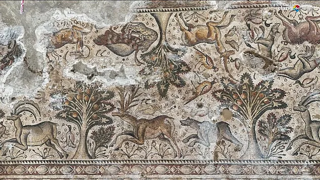 Elazığ'da Tarihe Işık Tutan Mozaiğin Keşfi: Kazılar Genişletiliyor!