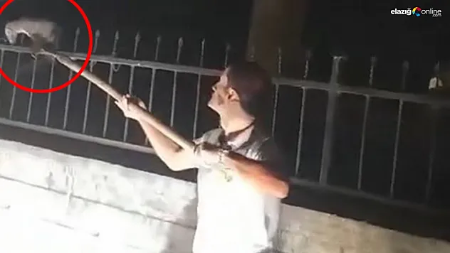 Sansarın imdadına Palu itfaiyesi yetişti!