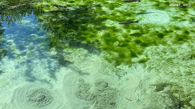 Efsanelere konu olan 'Dipsiz Göl' doğal güzelliğiyle herkesi kendine hayran bırakıyor