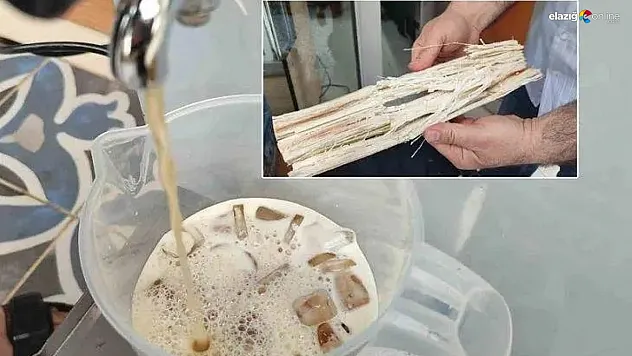 Şeker kamışı suyu ile sağlığınızı koruyun! İşte faydaları ve tüketim önerileri
