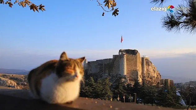 Sessizliğe bürünen Harput'ta sonbahar güzelliği