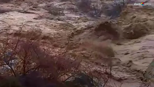 Şiddetli yağış sonrası çay coştu