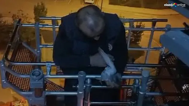 Sıkışan güvercinin imdadına itfaiye yetişti!