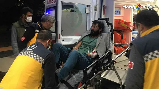 Silahıyla domuzları vurmak isteyen çoban kendini yaraladı