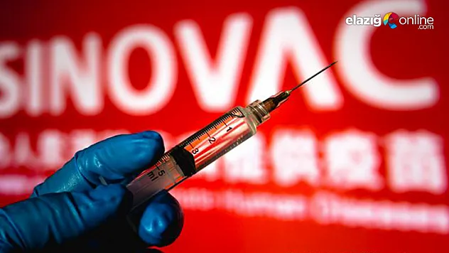 Sinovac aşısının etkinlik oranı açıklandı