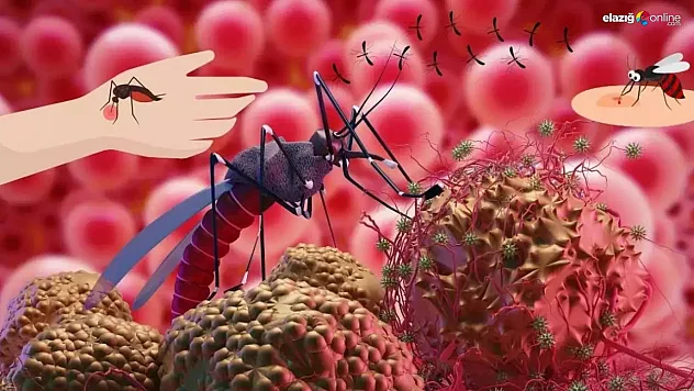 Sıtma hastalığı nedir? Sıtma hastalığının belirtileri ve tedavi yöntemleri nelerdir?