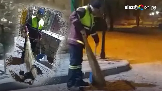 Sokak kedisinin masaj keyfi