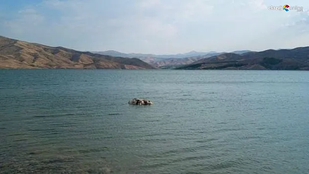Kayıp inek baraj gölünde ölü bulundu!