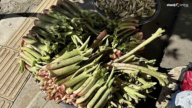 Tam bir şifa deposu! Elazığ'da tezgahlarda yerini aldı