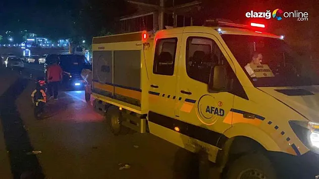 Tarihi köprüden nehre düşen genci vatandaşlar kurtardı