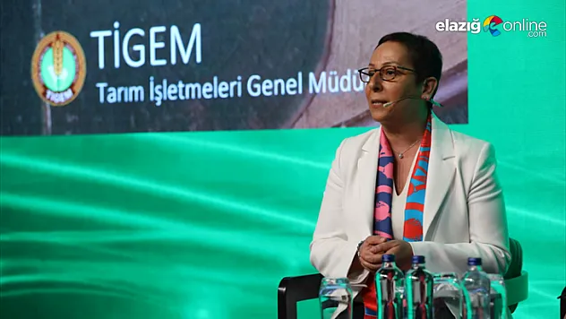 Tarım ve Orman Bakan Yardımcılığı Görevine Hemşehrimiz Işıkgece  Atandı