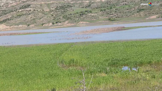 Tarımsal sulama ücretlerinin yüzde 50'si devlet tarafından karşılanacak