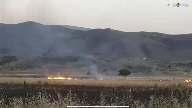 Tarlada çıkan anız yangını söndürüldü