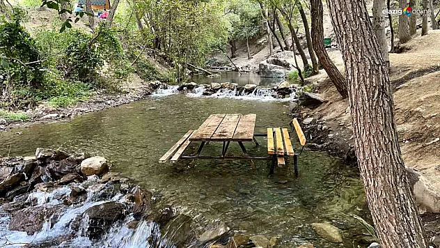 İşte Gurbetçilerin ve Yöre Halkının Favori Piknik Noktası!