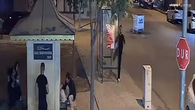 Elazığ'da Şaşırtan Olay: Otobüs Durağının Camını Kırıp Yoluna Devam Etti