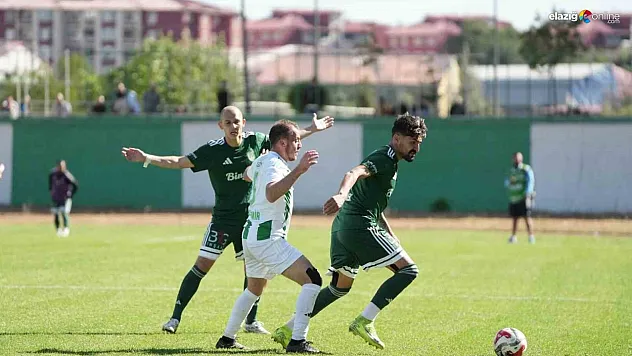 TFF 3. Lig: 12 Bingölspor: 2 - Yeşilyurtspor: 0