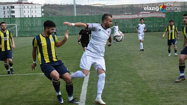 Elazığspor ligde kalmayı garantiledi