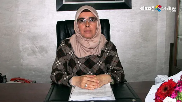 TOKİ Keban'da 88 konut yapacak