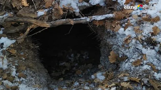 Tunceli'de 14 sığınak imha edildi