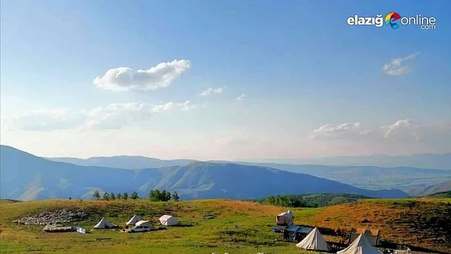 Tunceli'de 3 bin 500 rakımda koyun kırkma mesaisi