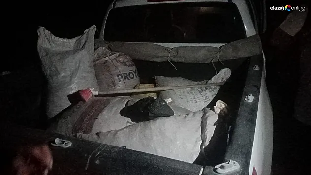 Tunceli'de Dağ Sarımsağı kaçakçılığına rekor ceza!