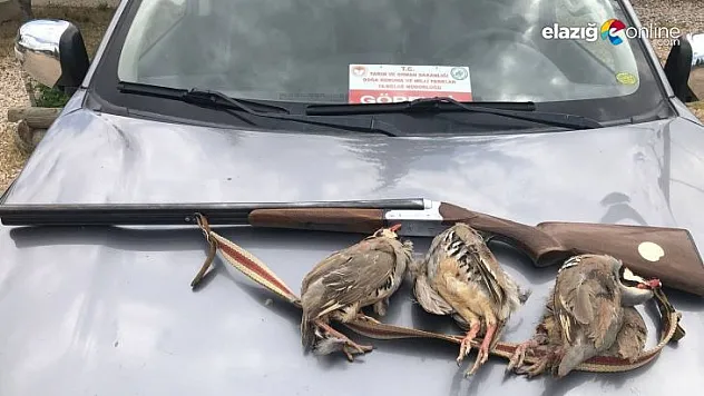 Tunceli'de kaçak avcıya ceza