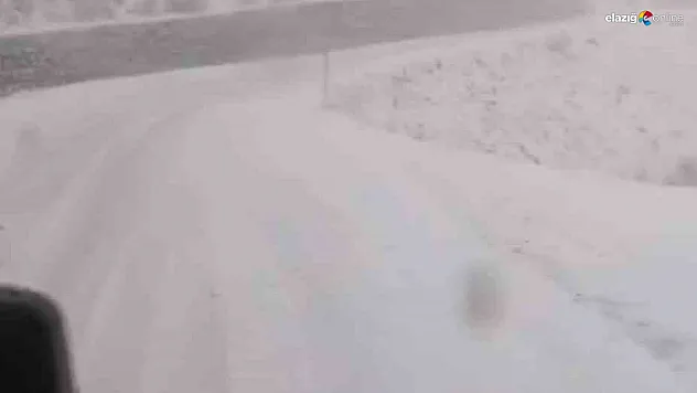 Tunceli'de, kar yağar yağmaz mücadele başladı