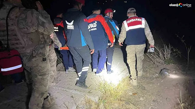 Tunceli'de kayalıklardan düşen kadın kurtarıldı