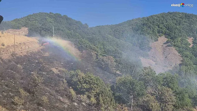 Tunceli'de kırsal alanda yangın: Havadan ve karadan müdahale sürüyor